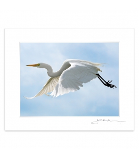 The flight of the White Heron: 6x8 Matted Print