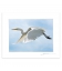The flight of the White Heron: 6x8 Matted Print