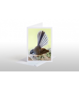 New Zealand Fantail: Card