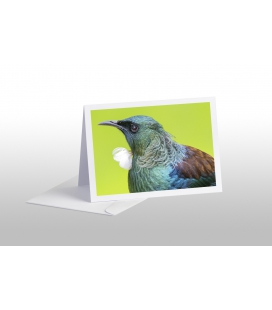 Tui Portrait: Card
