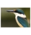 The Sacred Kingfisher: Card