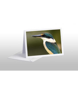 Sacred Kingfisher: Card
