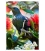 Tui in Pohutukawa: Card