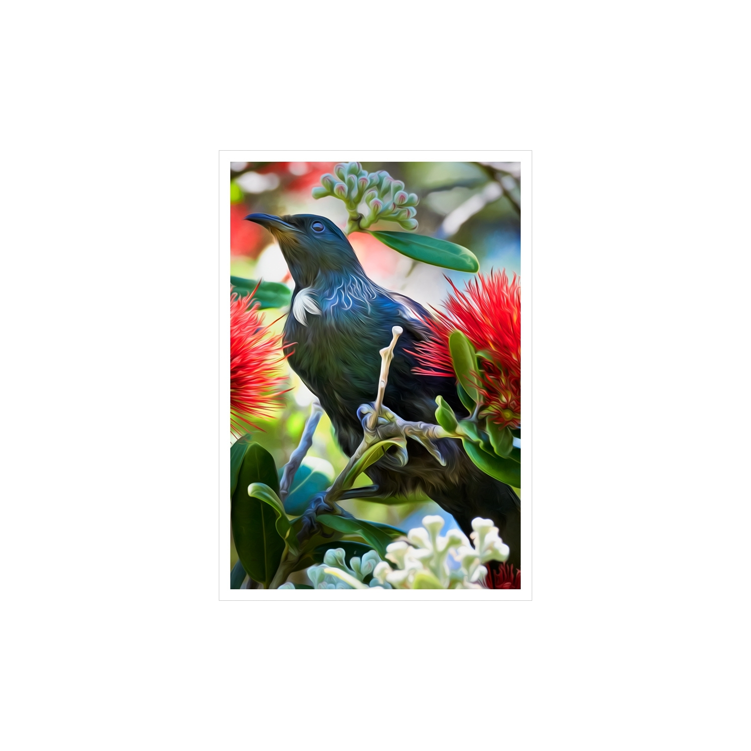 tui in pohutukawa card wayfarer images