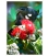 Tui in Summer Pohutukawa: Card
