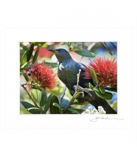 Fantail with Chicks: 6x8 Matted Print