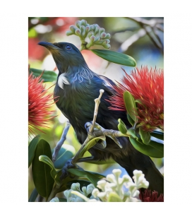 Kotare, the NZ Kingfisher