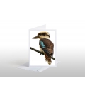 The (NZ) Laughing Kookaburra: Card