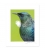 Tui Portrait closeup (portrait): 6x8 Matted Print
