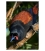 Crouching Saddleback: Card
