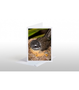 Crouching Saddleback: Card