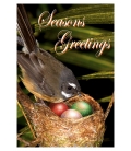 Fantail Christmas: Card