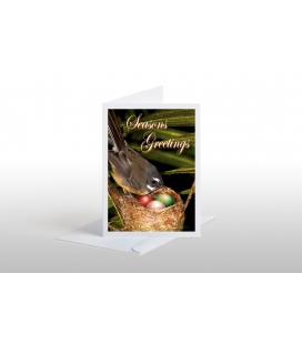 Fantail Mum with Chicks: Card