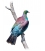 Kereru Lookout - ONE ONLY