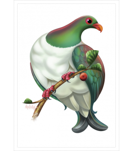 Kereru: Card