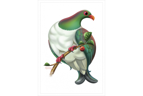 Kereru: Card