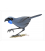Kokako, blue-wattled crow: Card