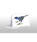 Kokako, blue-wattled crow: Card