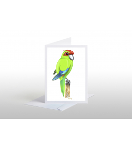Kakariki, red-crowned parakeet: Card