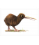 Brown Kiwi : Card
