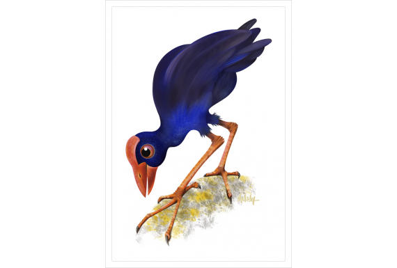 The Pukeko : Card
