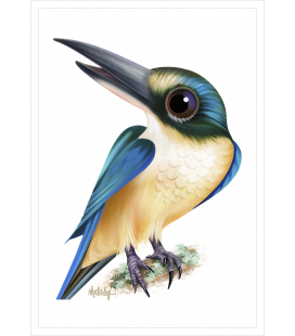 Kotare (Sacred Kingfisher): Card