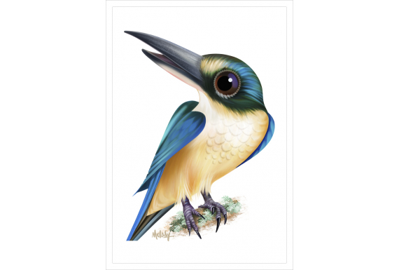 Kotare (Sacred Kingfisher): Card