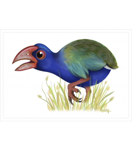 Takahe: Card