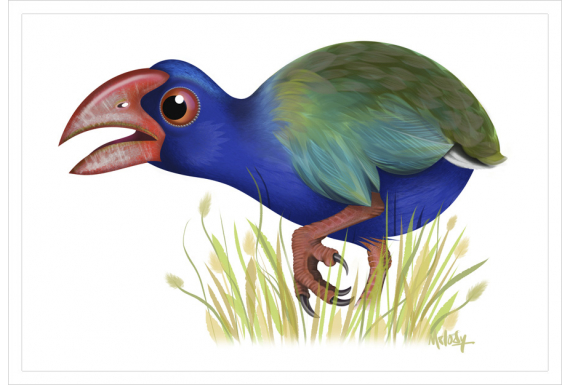 Takahe: Card
