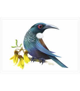 Tui with Kowhai flowers: Card
