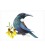 Tui with Kowhai flowers: Card