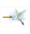 Kotuku, the White Heron: Card