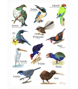 Love our Birds: Card
