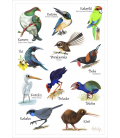 Love our Birds: Card