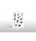 Love our Birds: Card