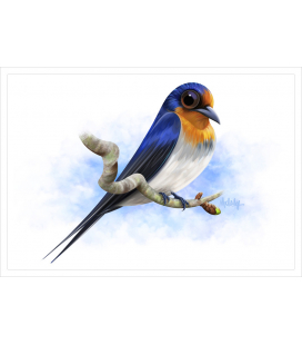 Welcome Swallow: Card