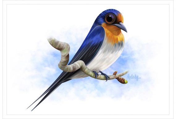 Welcome Swallow: Card