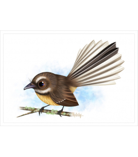Piwakawaka, Fantail: Card