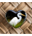 White Heron (Kotuku): Pocket Fondle