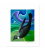 NZ Iconography, Tui in Flight: 6x8 Matted Print