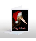 Christmas Cards
