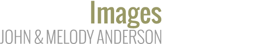 Wayfarer Images