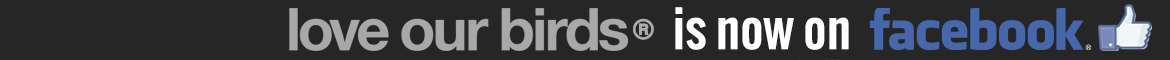 Love our Birds is now on Facebook - Click Here