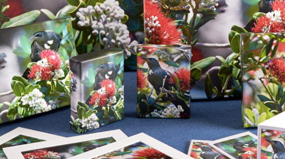 NO AI image generation used on this website