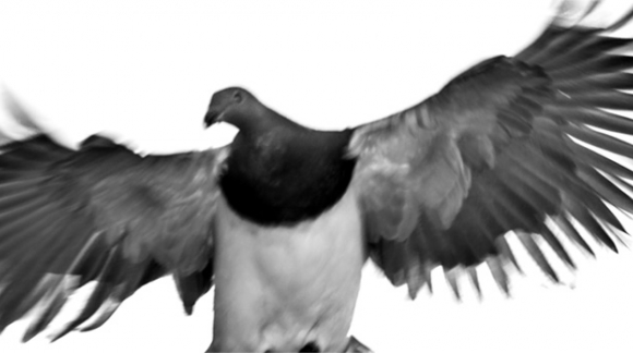 The Relaunch of the Wayfarer Images webstore