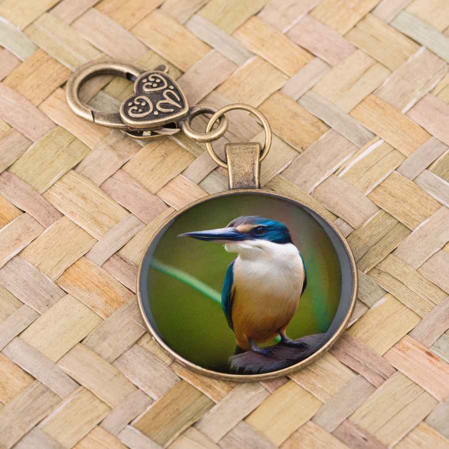 Sacred Kingfisher