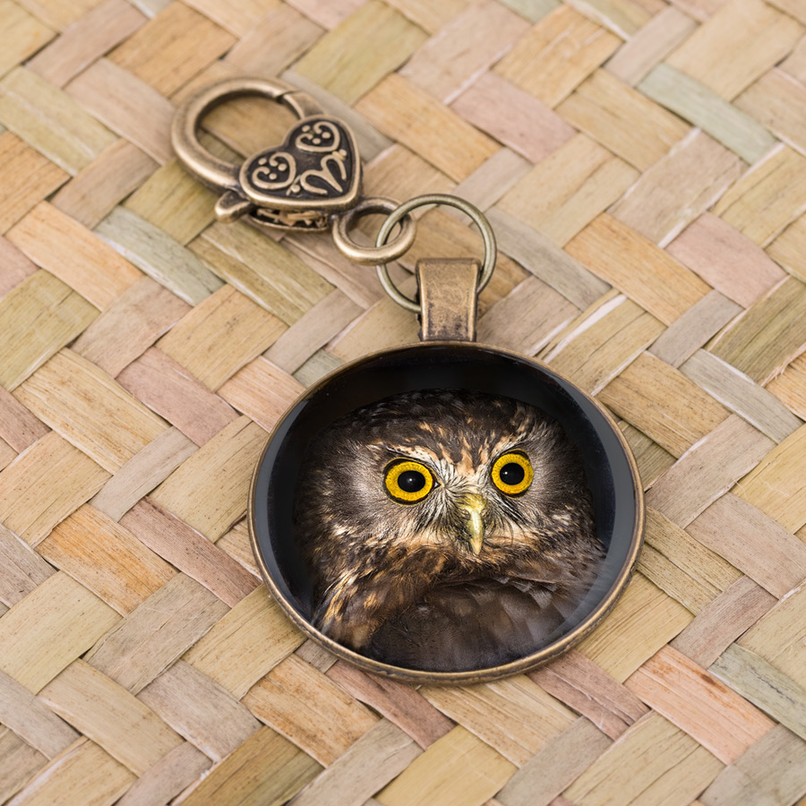 Morepork (Rurururu)