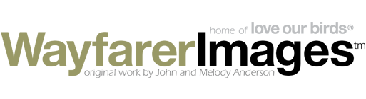 Wayfarer Images