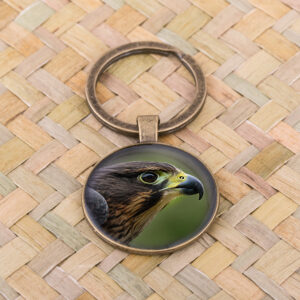 NZ Falcon (Karearea)