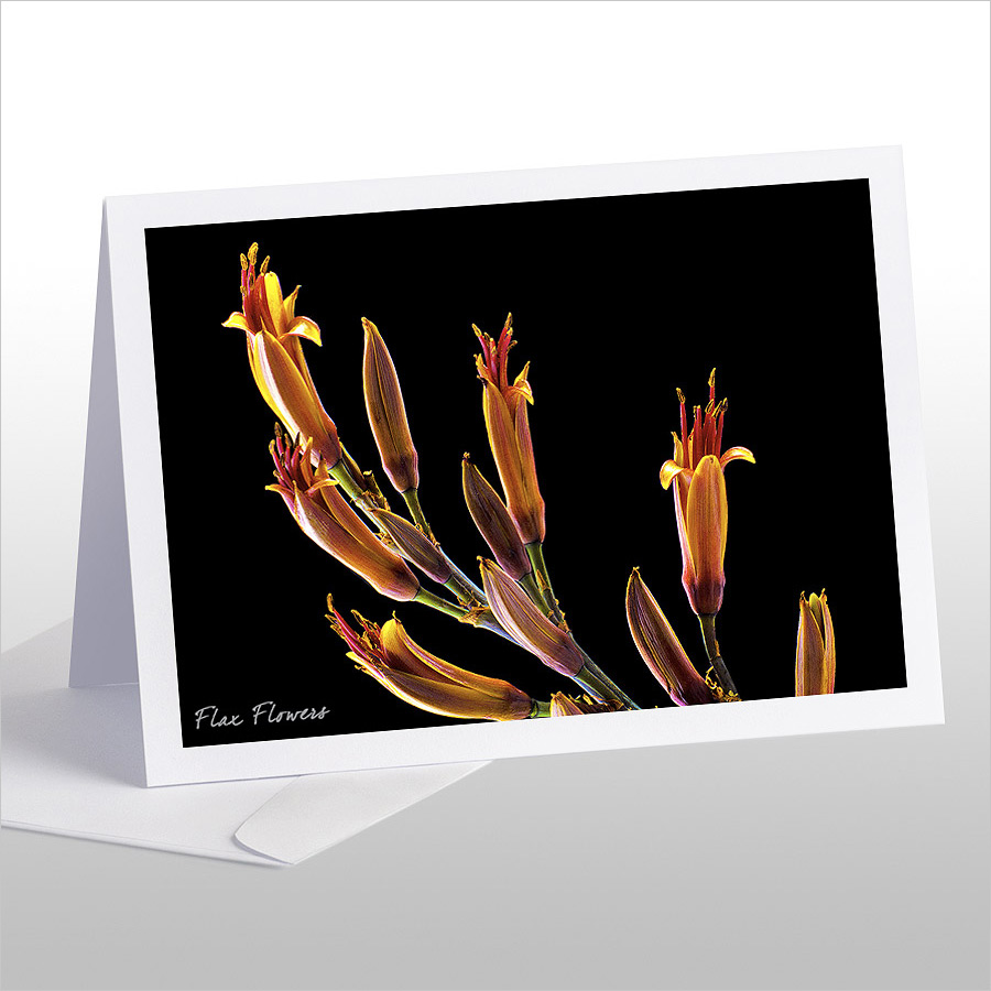 Flax Flowers: Card